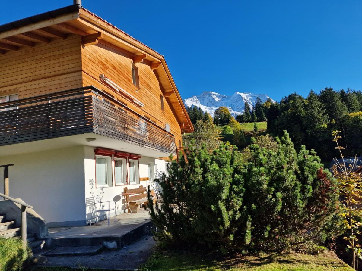 Chalet Viola - Verena'S Loft Wengen Exterior foto